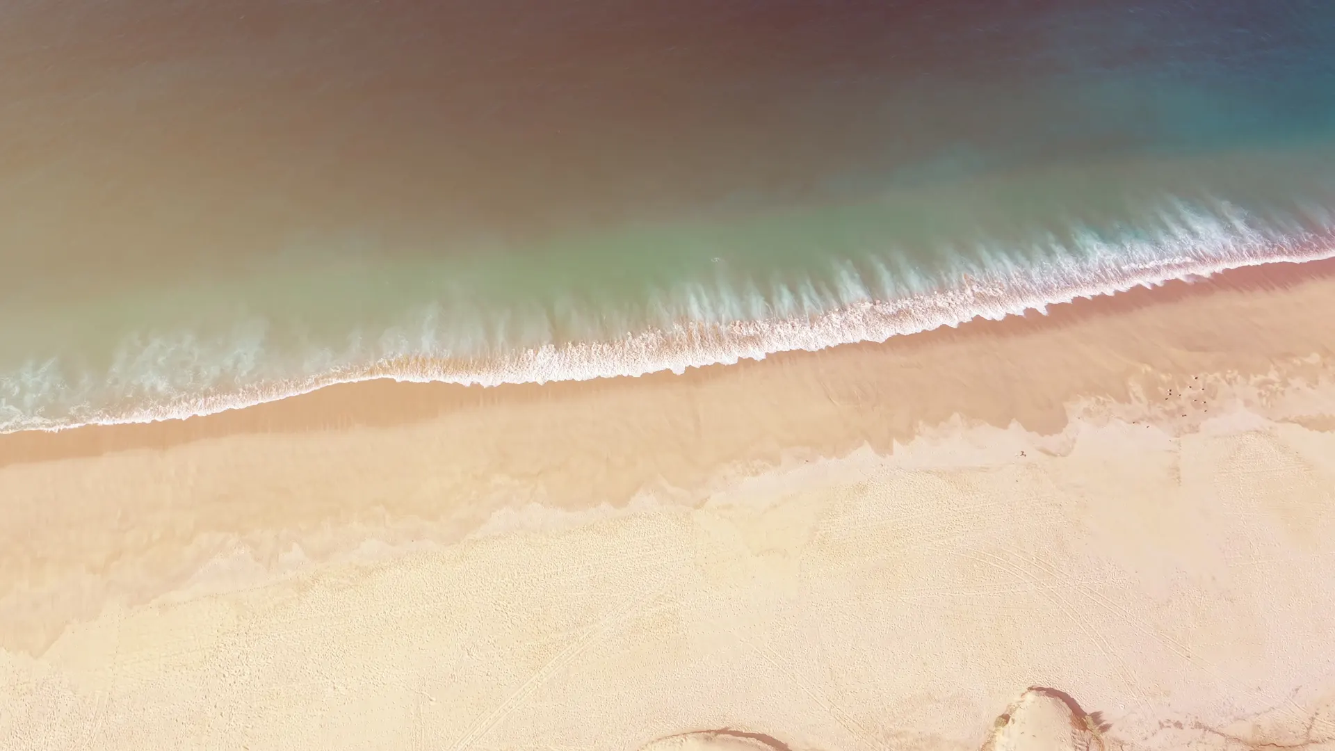 Aerial view of the Cabo San Lucas shoreline